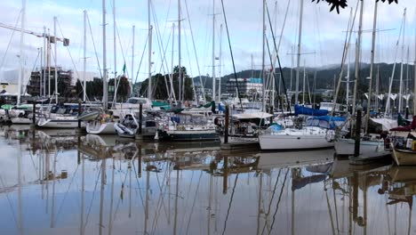 boats docked and moored in the harbour on a calm, quiet day at whangārei, new zealand