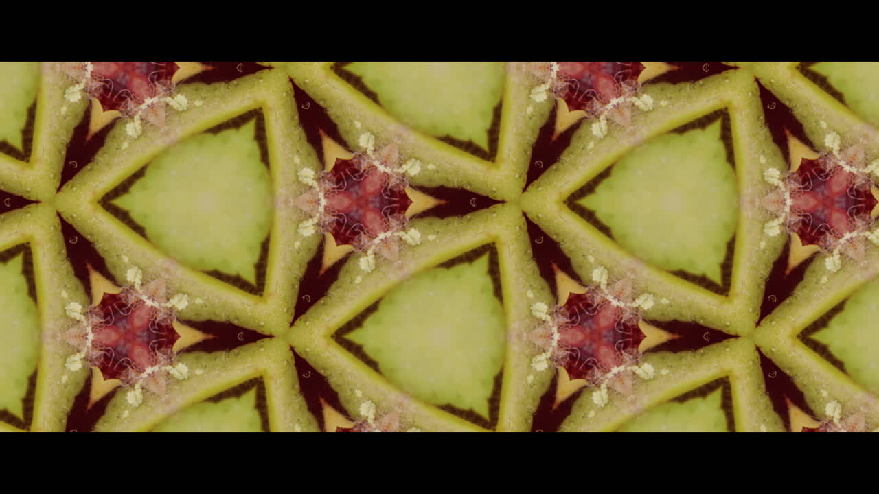 Abstract Floral Kaleidoscope Pattern