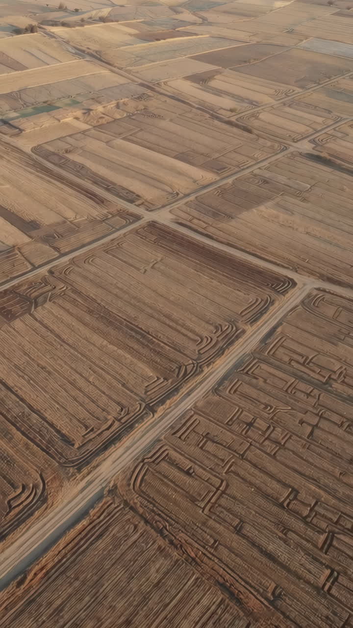 vista aérea de los campos agrícolas