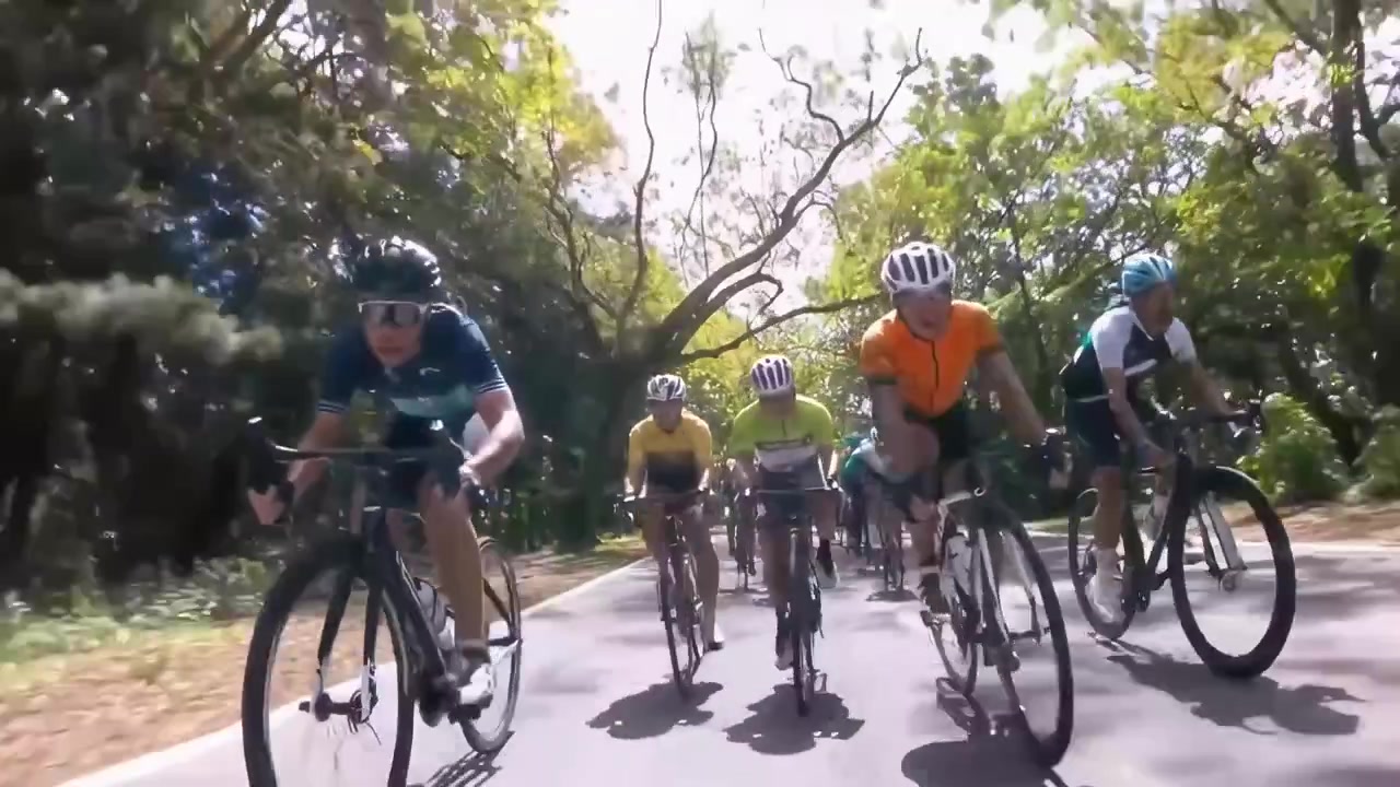 Grupo de ciclistas montando bicicletas de carretera en una carretera arbolada