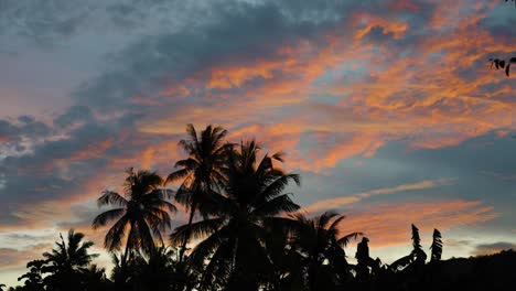 Palmen-Während-Eines-Bewölkten-Und-Windigen-Sonnenuntergangs