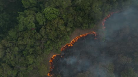 Direkt-Nach-Unten-Schießender-Drohnenrauch-Von-Einem-Waldbrand-Auf-Einer-Insel,-Bei-Dem-Die-Flammen-Sichtbar-Sind