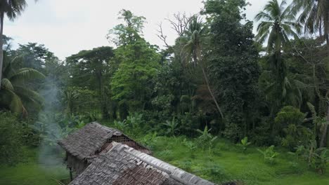 Vista-Aérea-Tiro-Ascendente,-Humo-Saliendo-De-La-Cabaña,-Vista-Panorámica-De-Pastizales-Verdes-Y-Palmeras-En-La-Aldea-De-Kanganaman,-Región-De-Sepik,-Papua-Nueva-Guinea