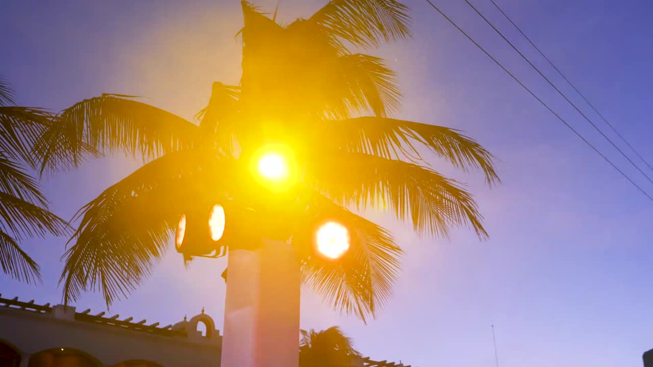 движущаяся съемка тропической концертной установки освещения на открытом воздухе со световыми бликами и пальмовыми деревьями