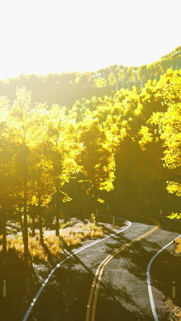 a winding road through a forest in autumn