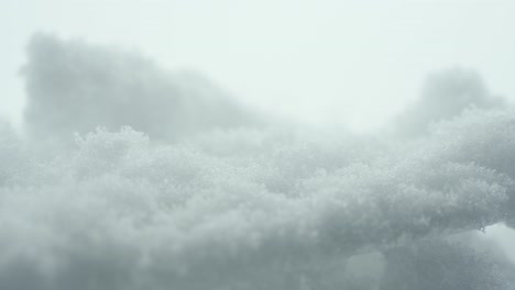 purity of white snow, macro close up moving back view