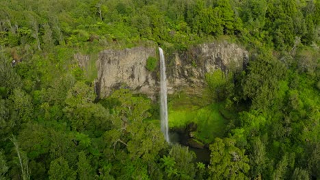 Vista-De-La-Alta-Cascada-En-El-Bosque-Verde-De-La-Reserva-Natural-De-Waireinga,-Aérea