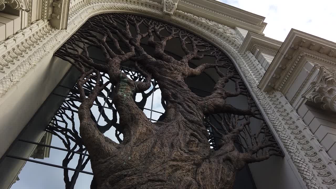 Giant Tree in front of Palace of Agriculture in Kazan, Russia. Camera panning up.