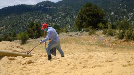 Hay-sprayer-young-worker