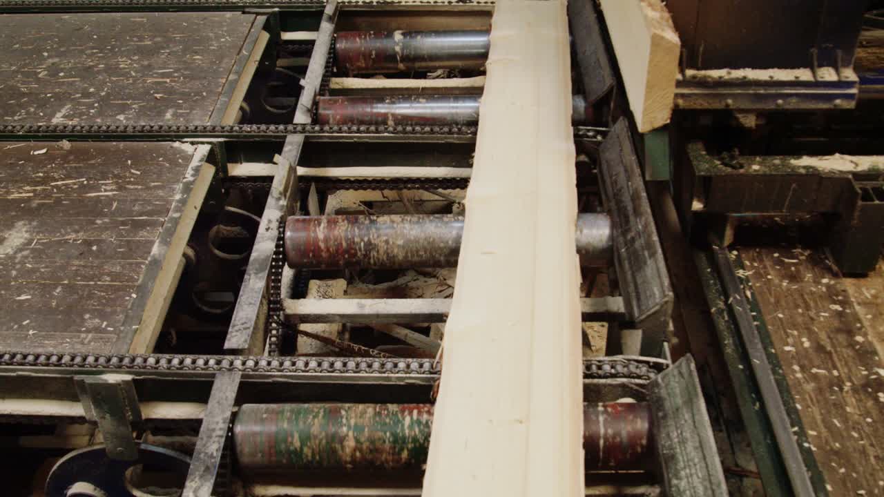 A sawmill production line in action. Heavy-duty machinery with industrial chains moves a large timber cant into position for sawing, showcasing the raw wood processing industry