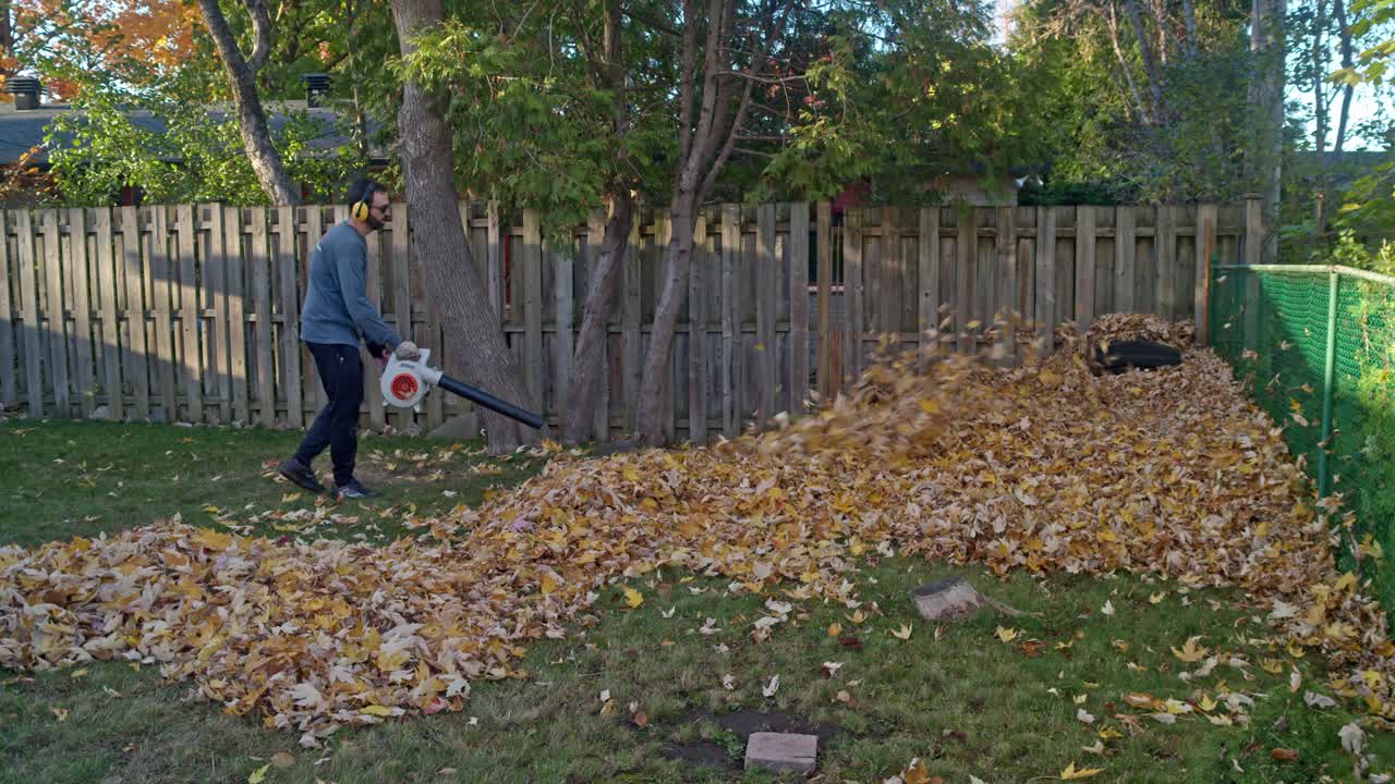 Man wearing ear protection blows leaves with a gas leaf blower into a pile in a suburban backyard