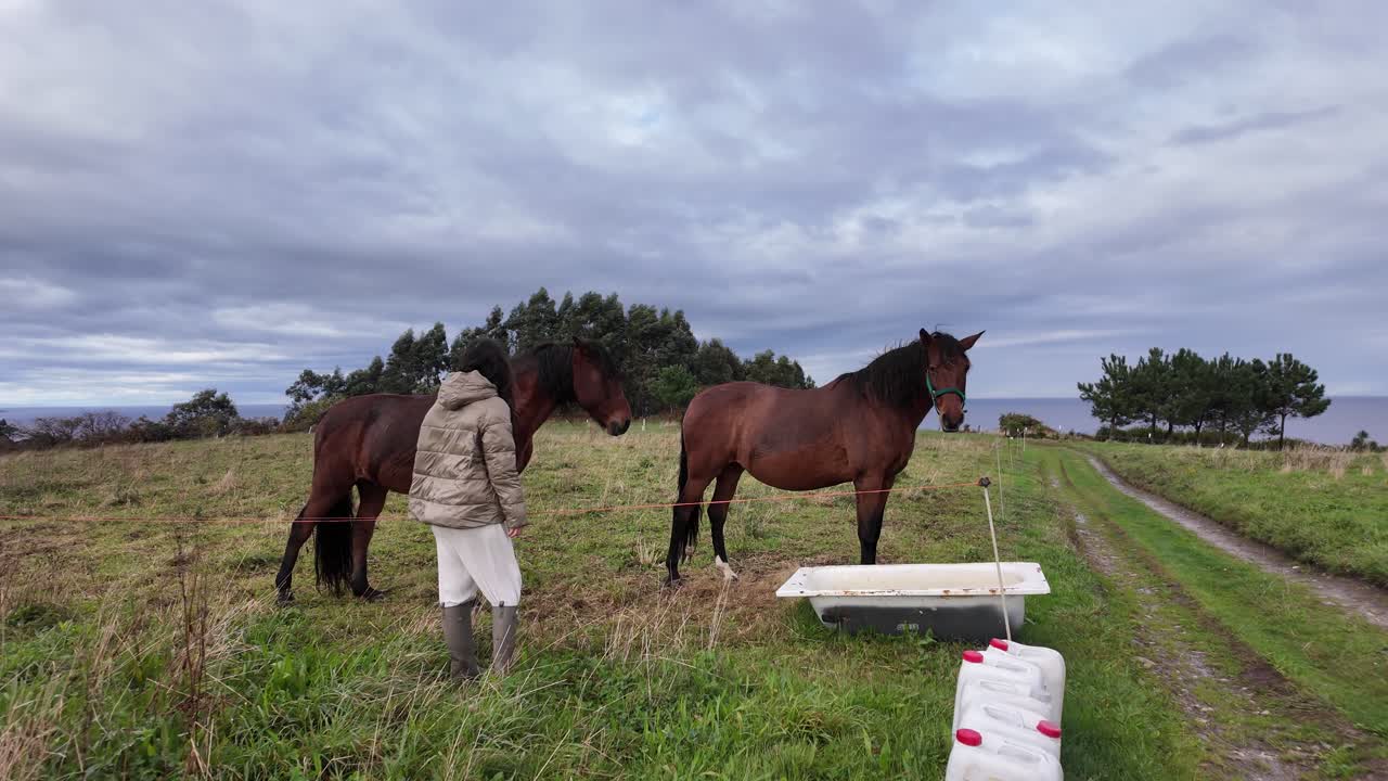 A person stands next to two horses in an open rural field under a cloudy sky