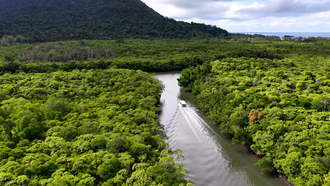 Aerial view of speedboat traveling through winding rainforest river under bright, natural daylight