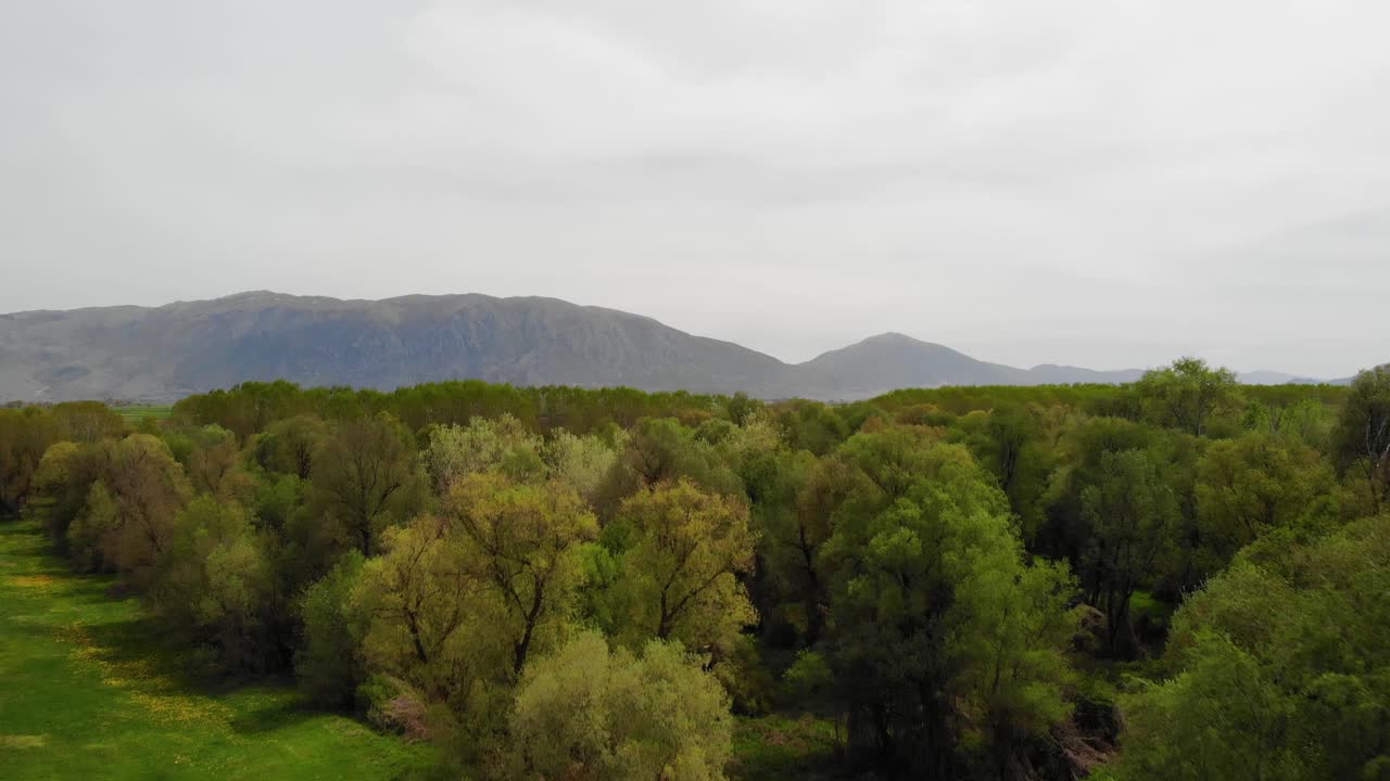 bosque pacífico rodeado de parcelas agrícolas y montañas en albania