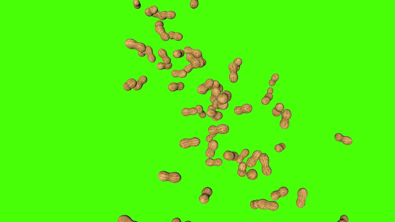 초록색 화면에서 떨어지는 3d 땅콩 애니메이션 크로마 키 배경