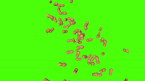 3d peanuts falling animation on green screen chroma key background