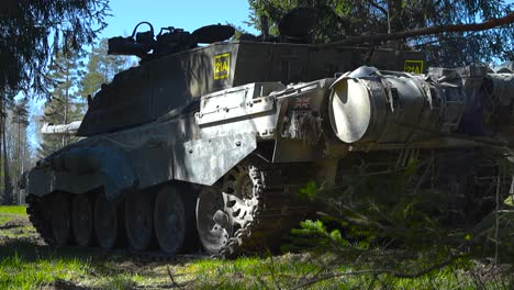 rare close up low angle footage of a british military army challenger 2 4034 tank hidden and aiming between pine forest trees and bushes during a sunny day in the baltics during a training exercise.