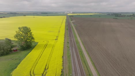 panorama aerial of canola fiel, brown agriculture field and train approaching