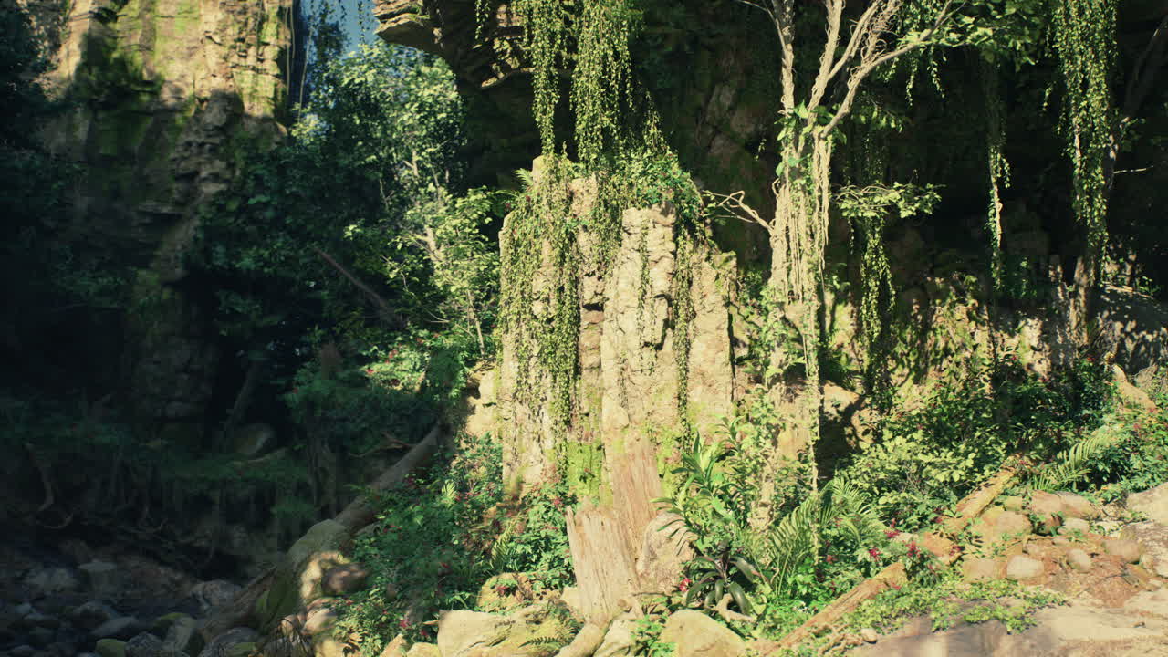 Serene forest scene with sunlit rocks and trees