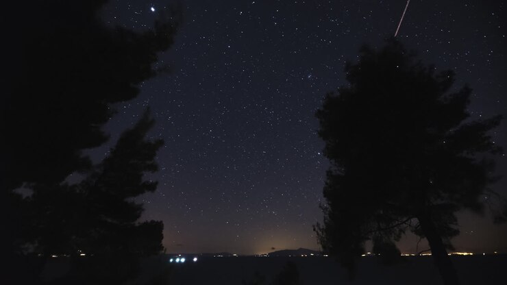 Timelapse notturno di stelle e pini vicino al mare, panoramica verso il basso, Calcidica, Grecia