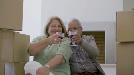 senior couple drinking wine on floor and looking at the camera after moving to new house