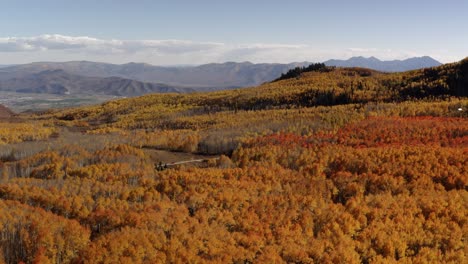 the colorful changing tree colors of norther utah