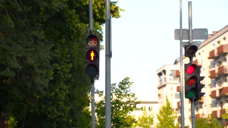 Statische-Ansicht-Des-Countdowns-Einer-Roten-Ampel-Mit-Überquerungsverbot