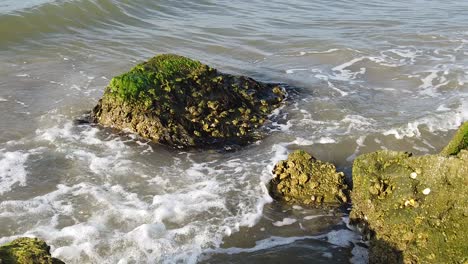 Dies-Ist-Ein-Zeitlupenvideo-Von-Wellen,-Die-In-Galveston,-Texas,-Gegen-Felsen-Schlagen