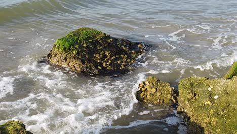 este es un video en cámara lenta de olas chocando contra rocas en galveston texas