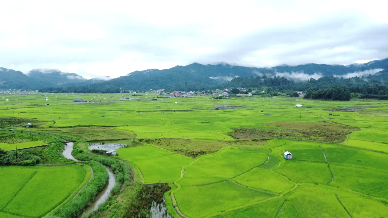 взгляд с воздуха на рисовое поле в аруначал-прадеш