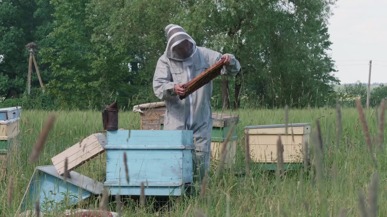 Mannlig birøkter sjekker bikake