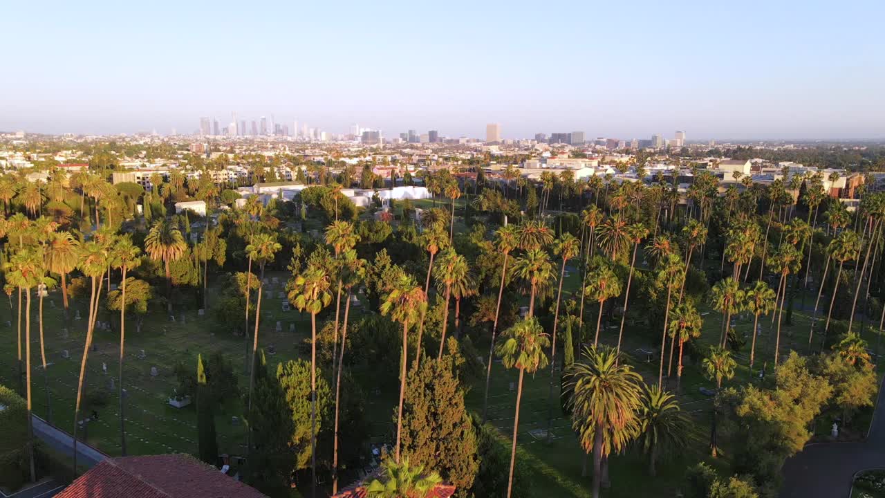 로스 앤젤레스 캘리포니아에있는 묘지에서 야자수의 훌륭한 공중 샷