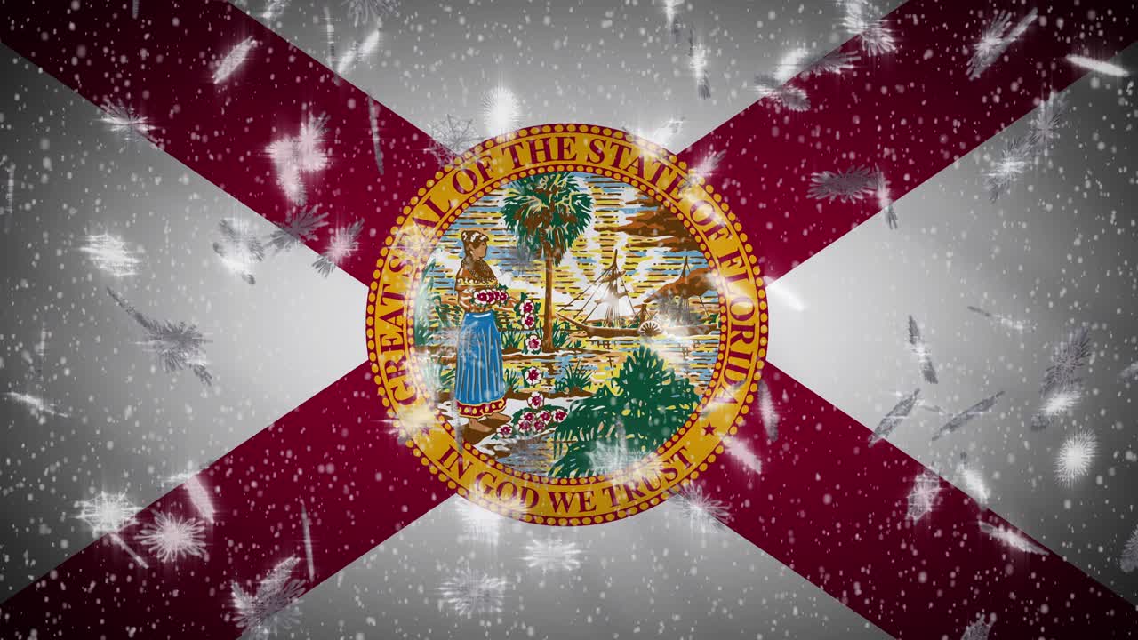 플로리다의 발이 눈을 내리고, 새해와 크리스마스 배경, 루프