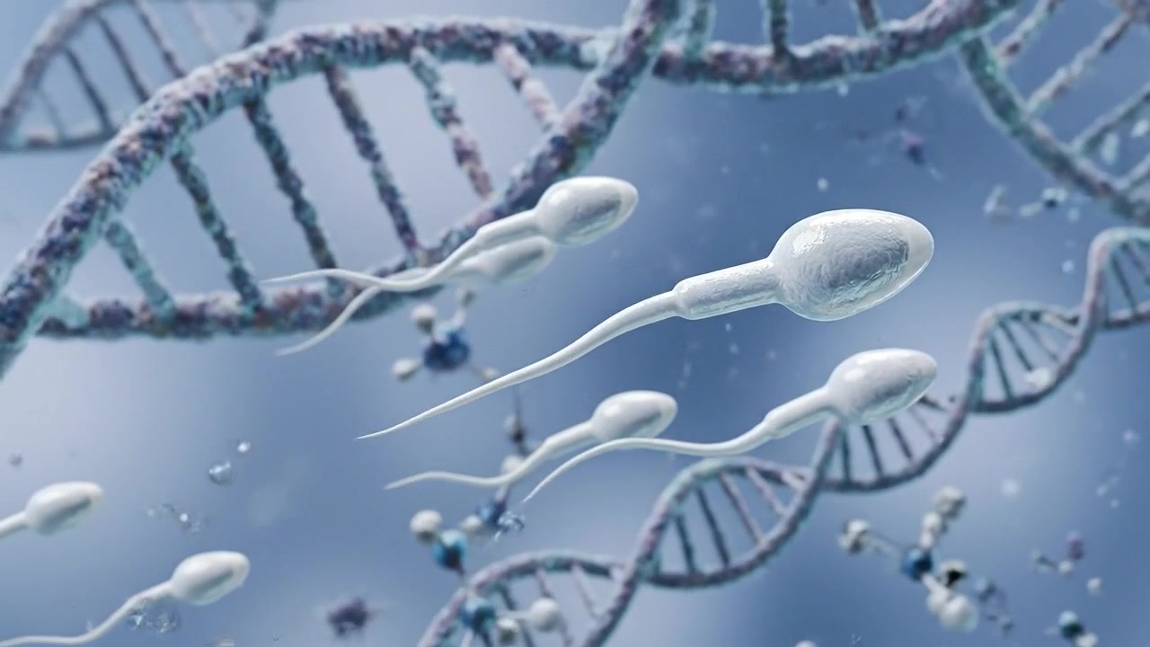 Advanced medical and biological 3D visualization of human body concepts