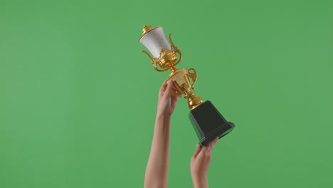 las manos levantadas de una mujer están sosteniendo un trofeo. fondo de pantalla verde