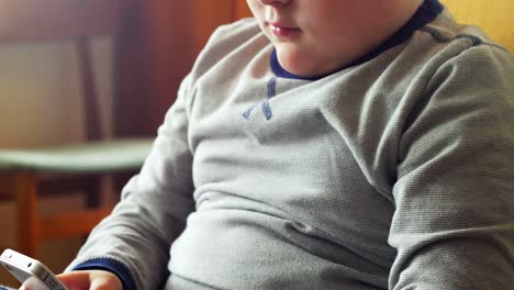 niño usando teléfono móvil en la sala de estar 4k
