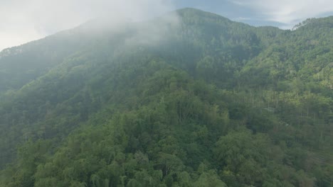 Dramatische-Drohnenaufnahme-Des-Regenwaldes-Auf-Dem-Hügel-Im-Nebligen-Morgen