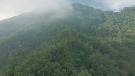 dramático disparo de un avión no tripulado de la selva tropical en la colina en una mañana de niebla