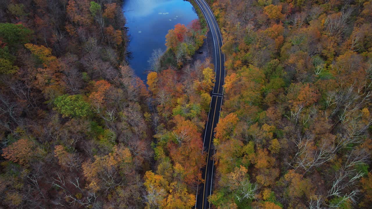 top down drone imágenes de un camino de montaña recién pavimentado serpenteando a través de un hermoso colorido bosque de otoño