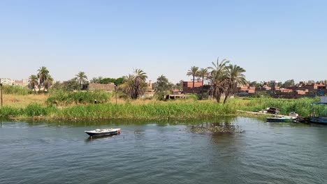 nile river close to cairo in egypt during the day with fauna and vegetation in the north of africa