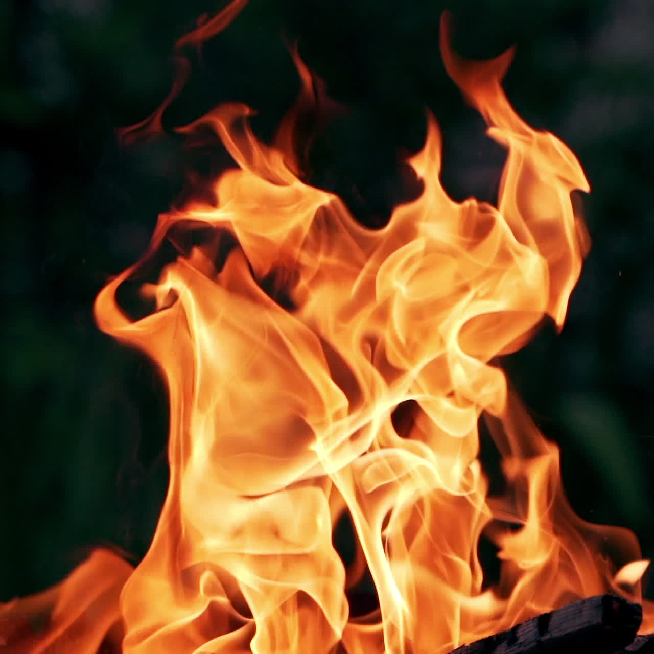 Fuoco che brucia. Falò. Primo piano di fiamme che bruciano su sfondo nero, movimento rallentato