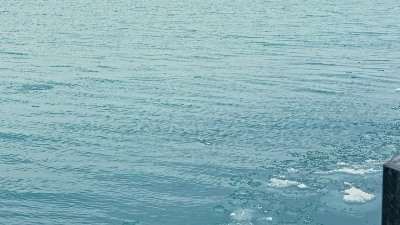 朝、岸辺近くで、氷の破片が浮かび、穏やかな波が寄せる水面が、柔らかな光を反射している。