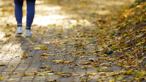 Verschwommene-Figur,-Die-Im-Herbst-Auf-Einem-Mit-Blättern-übersäten-Weg-Geht-Und-Einsamkeit-Hervorruft