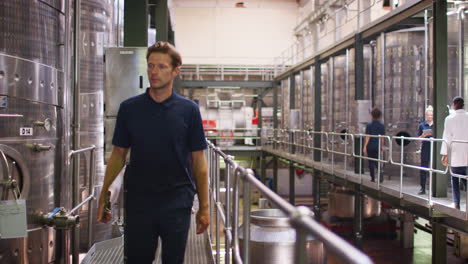 staff walking on gangway in a modern winemaking factory