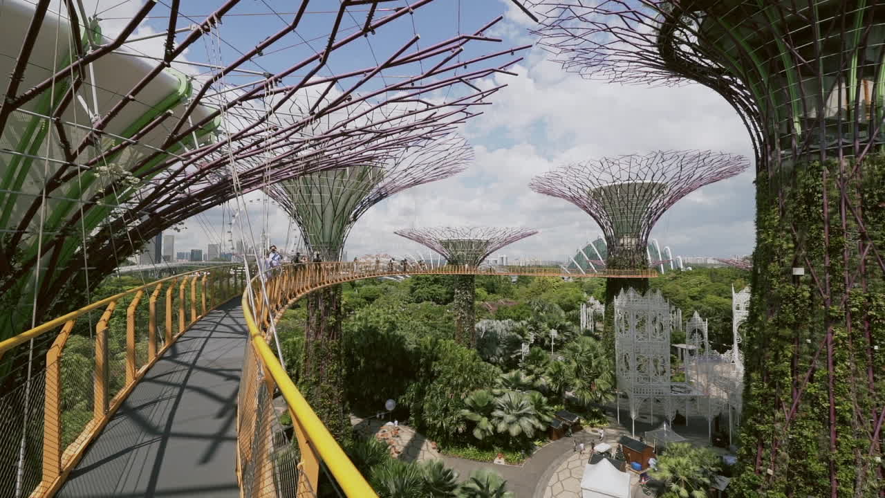 Vista aerea del Supertree Grove dei Gardens by the Bay e dell'OCBC Skyway a Singapore
