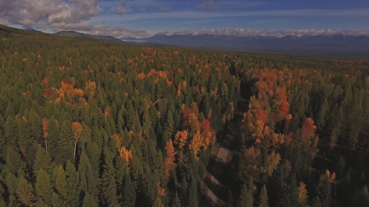 toma aérea de drones en montana viajando por un camino de tierra en otoño o otoño