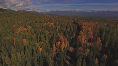 Toma-Aérea-De-Drones-En-Montana-Viajando-Por-Un-Camino-De-Tierra-En-Otoño-O-Otoño