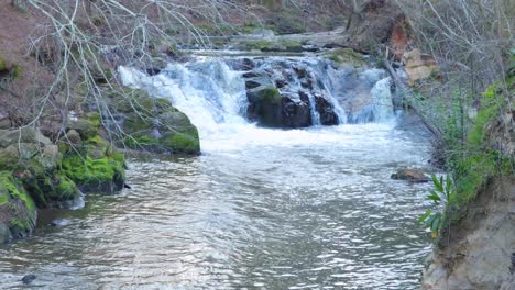 Savannah-Rapids-Pavillon-Wasserfall-Bachfront