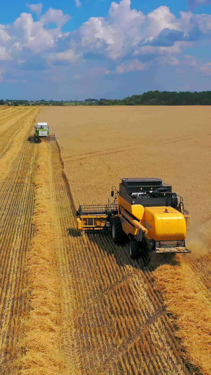 Harvester machine to harvest wheat field working. Combine harvester working on a wheat field. Vertical video