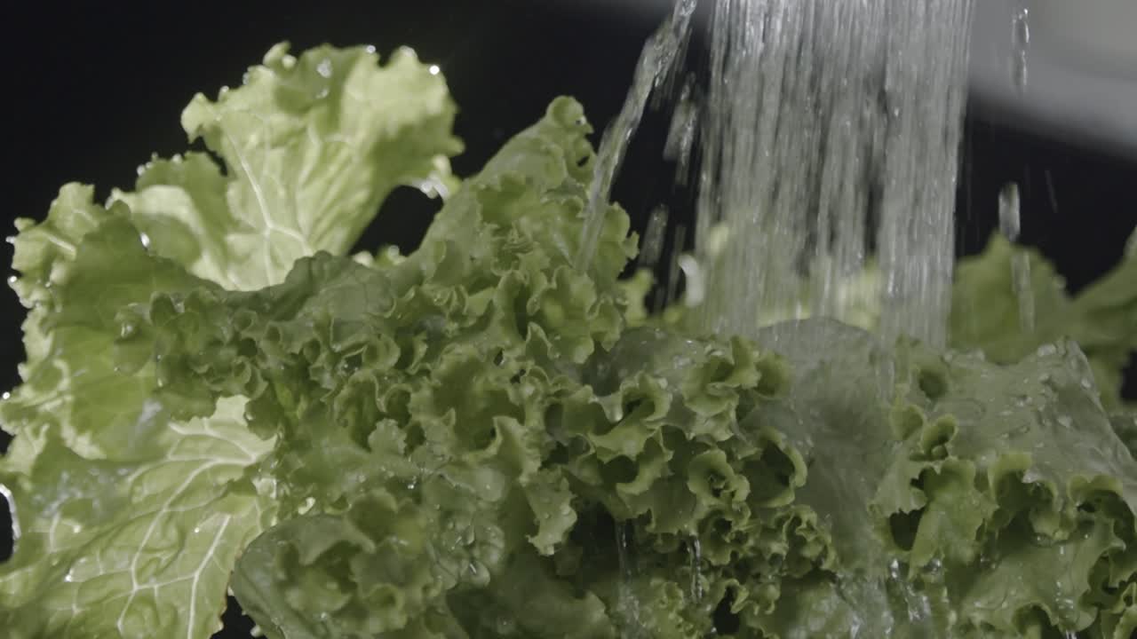 Vegan plant food produce, organic nutrients, salad ingredients